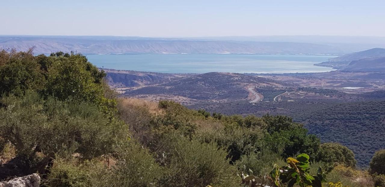 Red And White אדום לבן Amirim